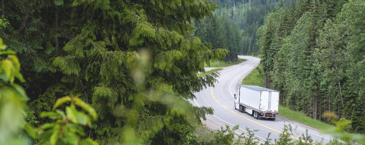 Supply Chain Sustainability for CP&R Thumbnail